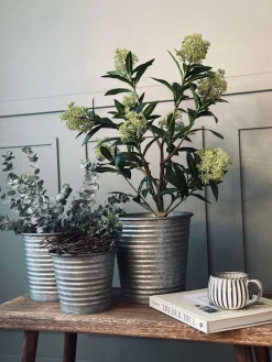 Skjuler Zink - Sæt af 3 stk.