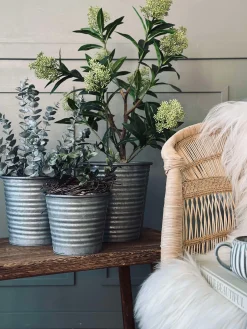 Skjuler Zink - Sæt af 3 stk.