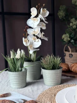 Skjuler Zink - Sæt af 3 stk.