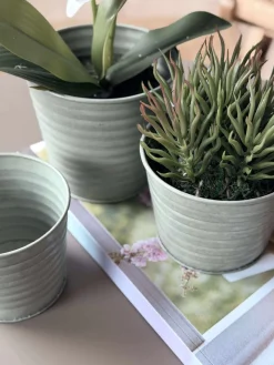 Skjuler Zink - Sæt af 3 stk.