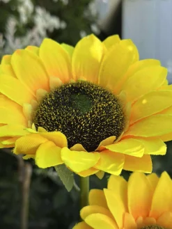 Solsikke med solceller