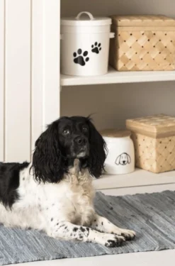 Spand m/låg hvid m/potemotiv - 5 liter