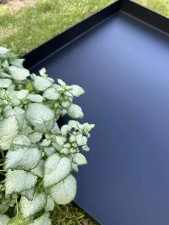 Spejlbassin Square - Black