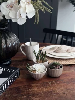 Tapas - 3 skåle og fad