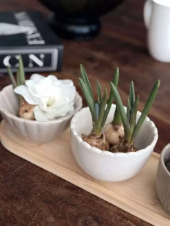 Tapas - 3 skåle og fad