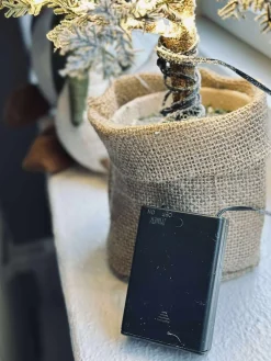 Træ med kogler og lyskæde