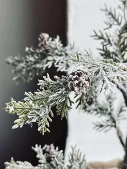 Træ med kogler og lyskæde