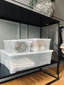 Transparent kasse med låg - Small