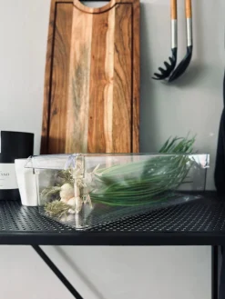 Transparent kasse til køleskab