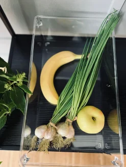 Transparent kasse til køleskab