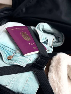 Trolley Sporty 40 liter