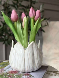 Tulipan i potte - Mørk Rosa