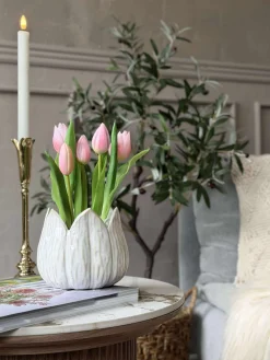 Tulipan i potte - Rosa