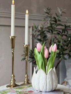 Tulipan i potte - Rosa