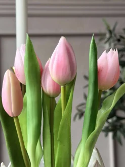 Tulipan i potte - Rosa