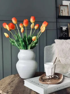 Tulipaner – Flere farver