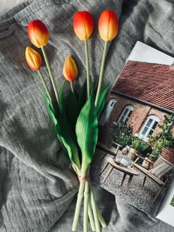 Tulipaner – Flere farver