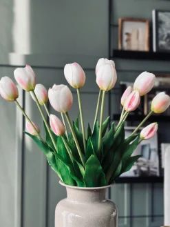 Tulipaner – Flere farver