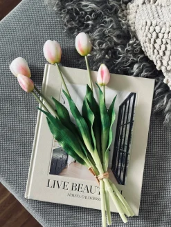 Tulipaner – Flere farver