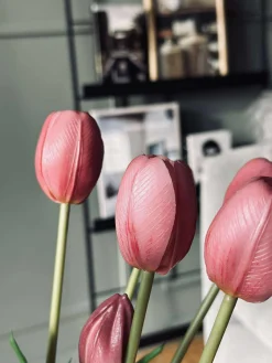 Tulipaner – Flere farver