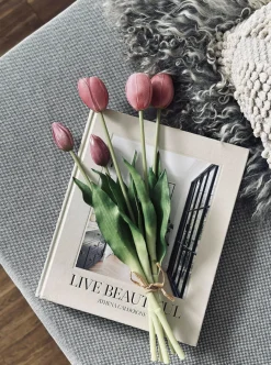 Tulipaner – Flere farver