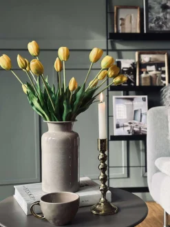 Tulipaner – Flere farver