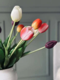 Tulipaner – Flere farver