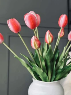 Tulipaner – Flere farver