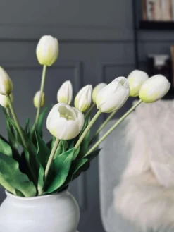 Tulipaner – Flere farver