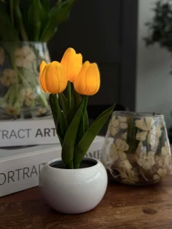 Tulipaner med lys - Gul