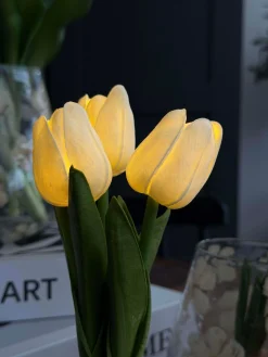 Tulipaner med lys - Hvid