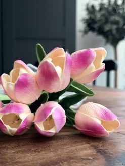 Tulipaner med lys - Lys rosa