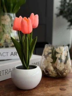 Tulipaner med lys - Rosa