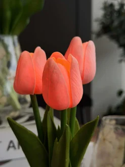 Tulipaner med lys - Rosa