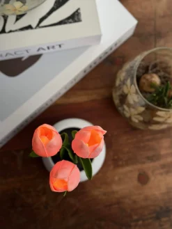 Tulipaner med lys - Rosa