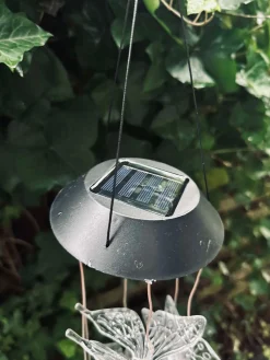 Uro med solar - Sommerfugle