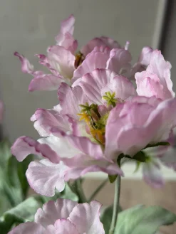 Valmue stilk 62 cm - Rosa