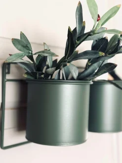 Væghængt stativ med 3 urtepotter - grøn