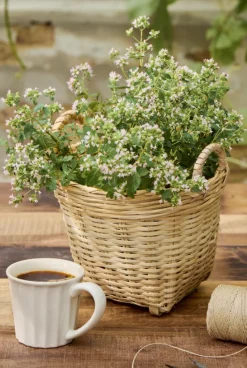 Vægkurv med ophæng – Bambus